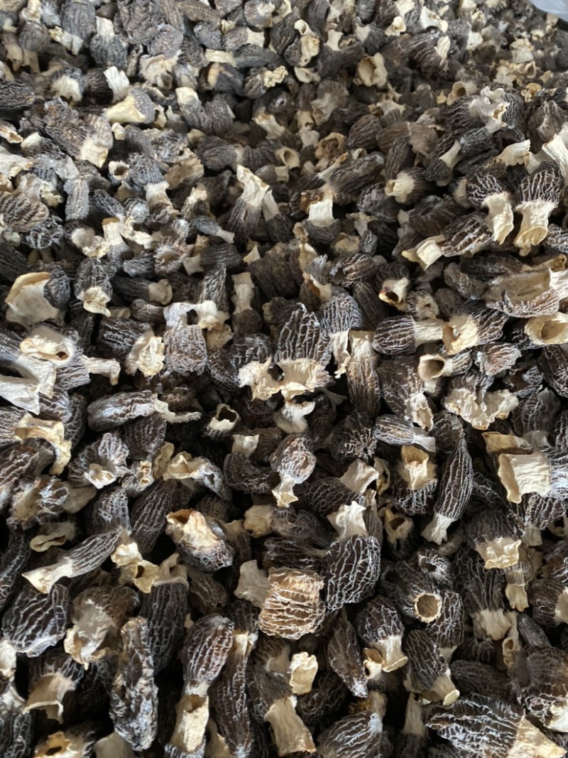 特价处理羊肚菌500克