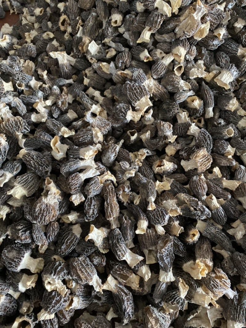 特价处理羊肚菌500克