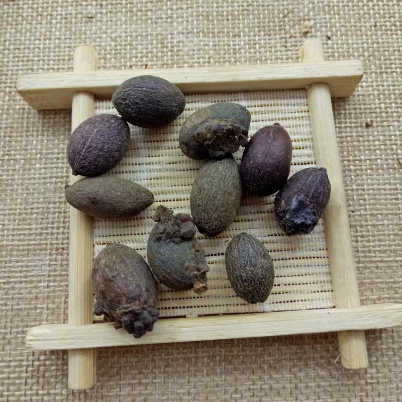 葵树籽，葵树子，蒲葵子产地直供量大优惠