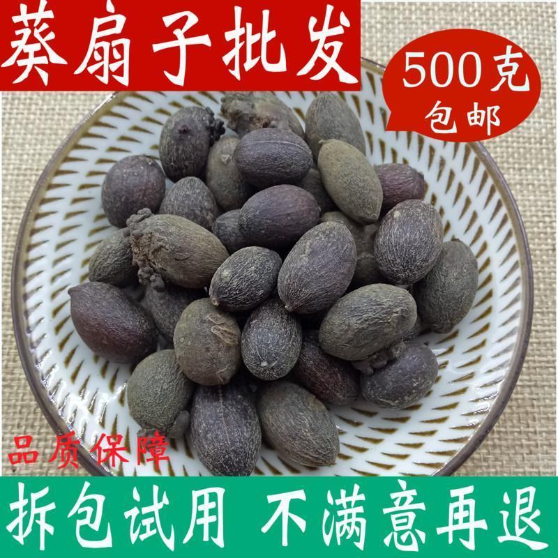 葵树籽，葵树子，蒲葵子产地直供量大优惠