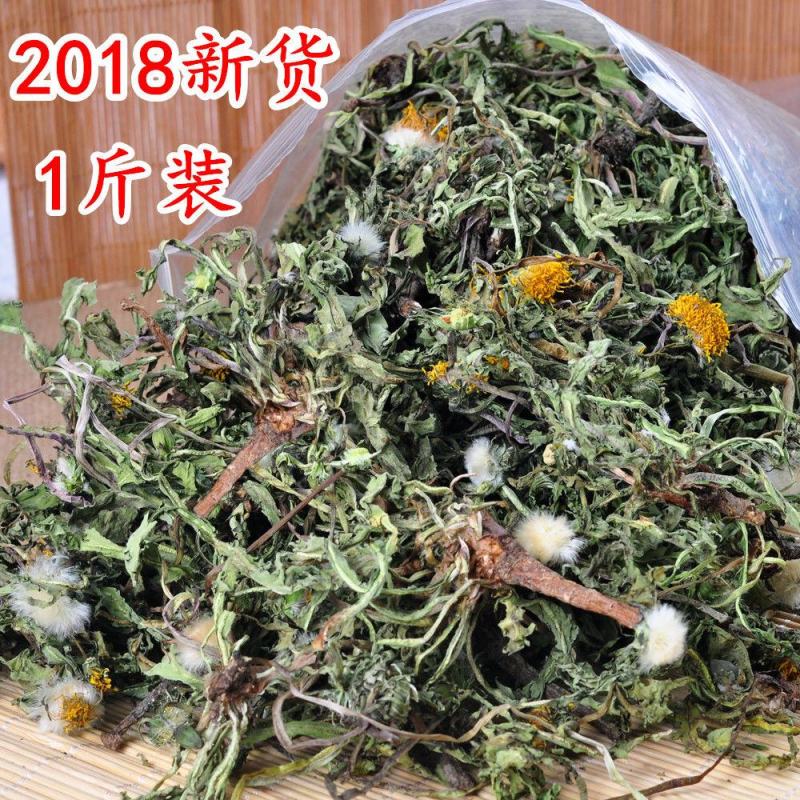 净货蒲公英蒲公英草公英产地山东货好