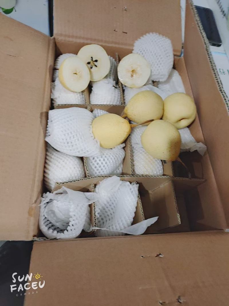河北赵县鸭梨一二级都有充足货源，产地直发，量大优惠
