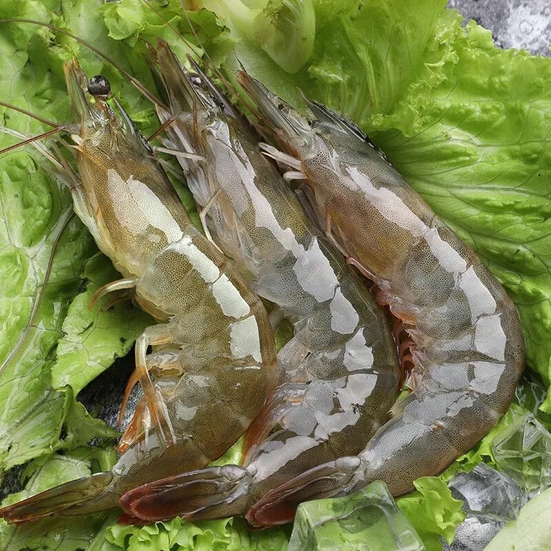 新鲜大虾超大新鲜冷冻海鲜深海虾青虾冻虾整箱