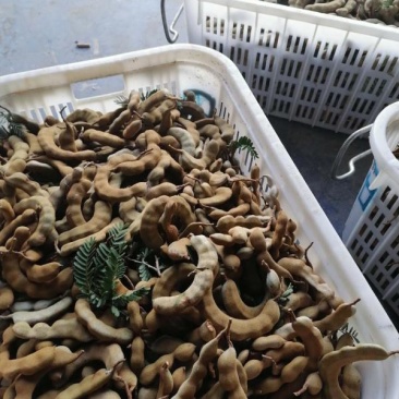 酸角有货源需要的老板请下单