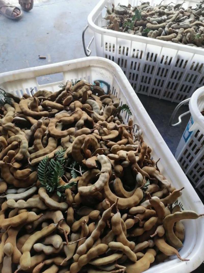 酸角有货源需要的老板请下单