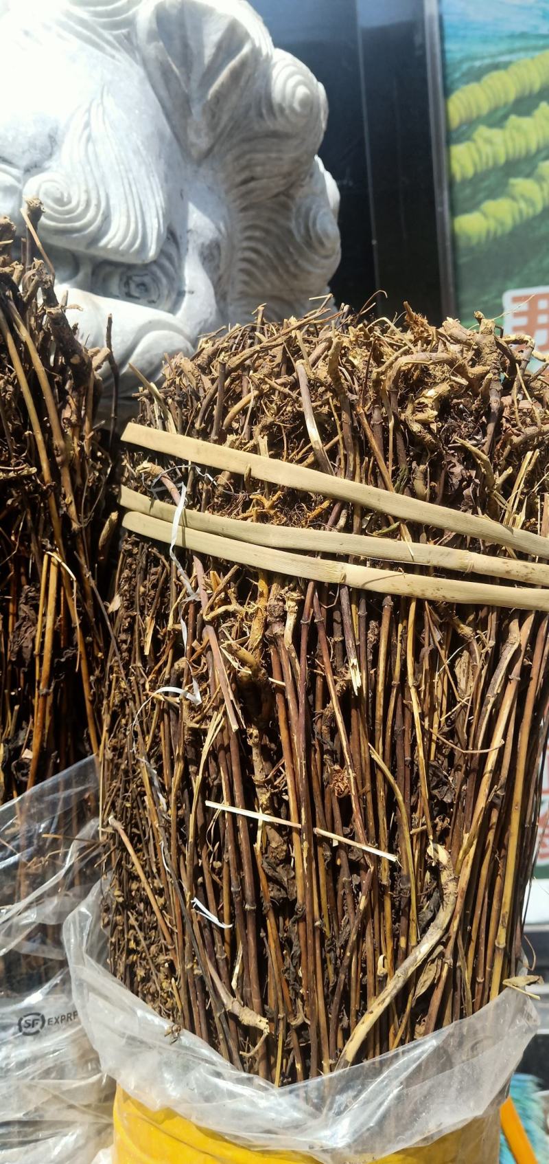 西藏阿里地区藏茵陈茵陈