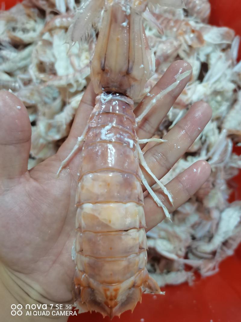 皮皮虾，活煮带膏皮皮虾，条条爆膏，特大，高品质，肉满