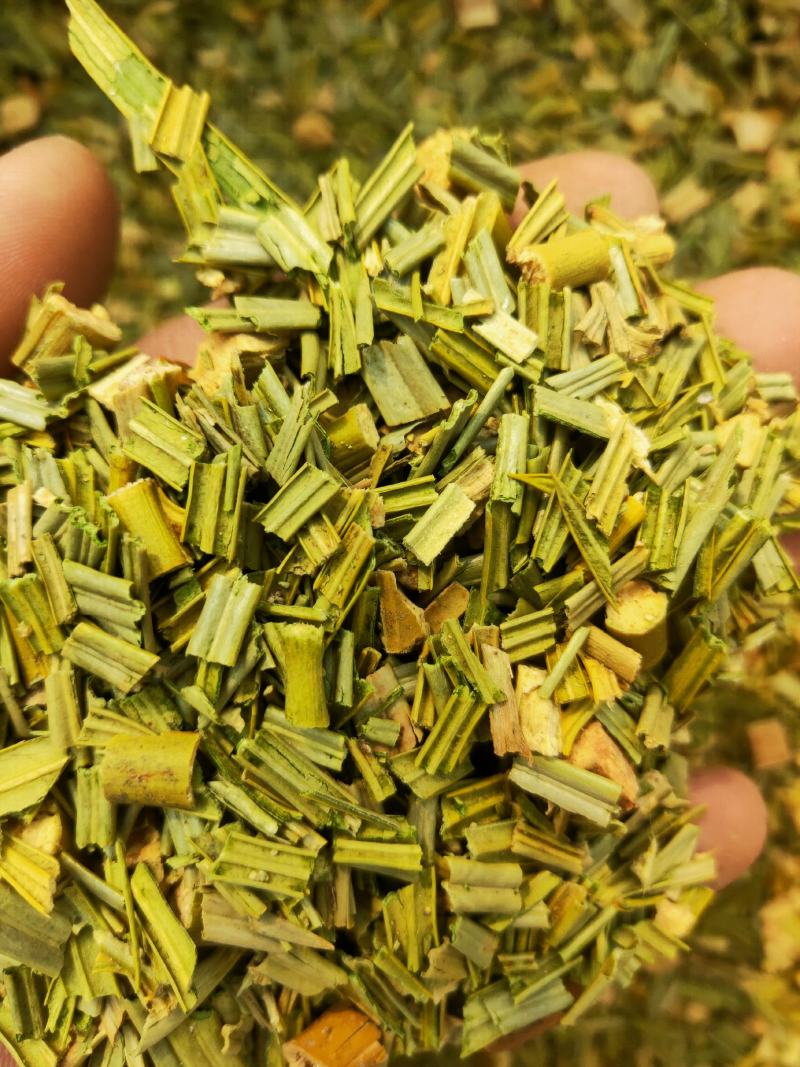铁树叶中药冷背品种货好纯干要多优惠不满意可以退换货