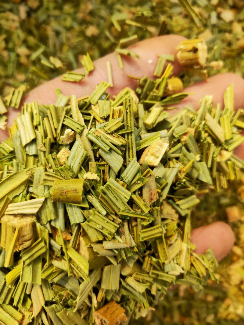铁树叶中药冷背品种货好纯干要多优惠不满意可以退换货