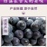 【一件代发】北漠果业新疆特产吐鲁番黑加仑葡萄干黑提干袋装