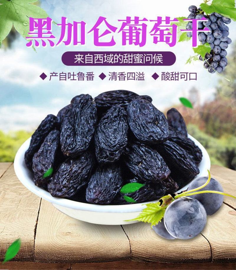【一件代发】北漠果业新疆特产吐鲁番黑加仑葡萄干黑提干袋装