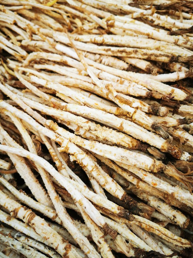 北沙参，沙参，中药材