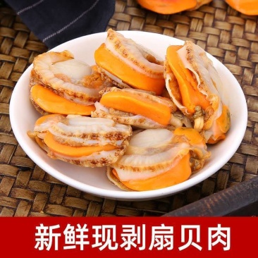 扇贝肉新鲜大扇贝肉冷冻元贝肉冻扇贝蒜蓉扇贝贝类