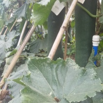 质量就是生命，信誊第一