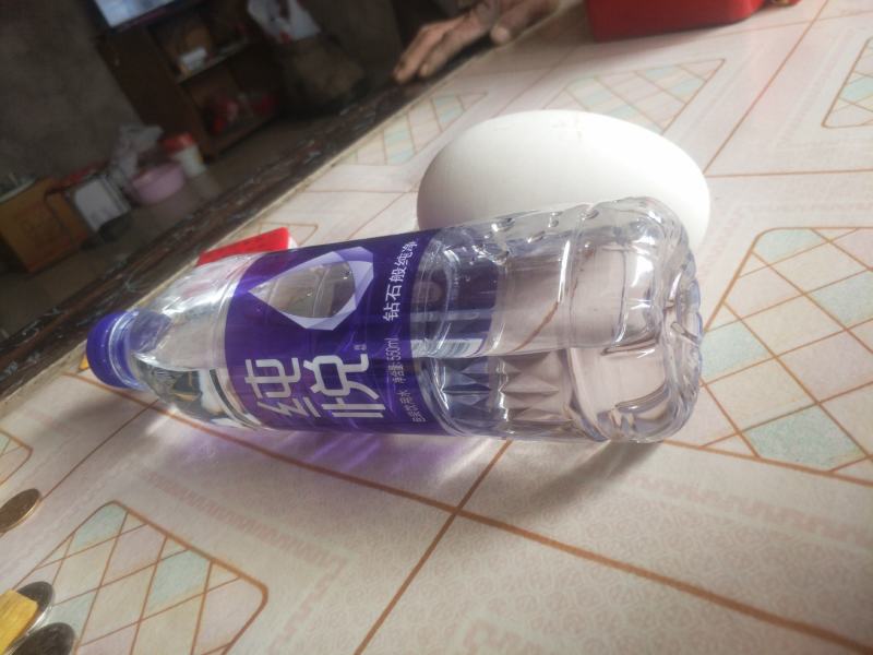 自家养的白鹅鹅蛋就是个大