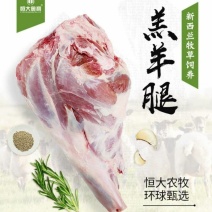 羊腿带骨羊腿肉生羊肉宁夏盐池滩羊羔羊剔骨新鲜速冻现宰烧烤