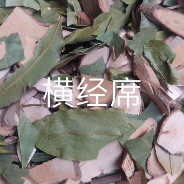 横茎席中药材横经席跌打将军碎骨莲梳篦木横径席将军