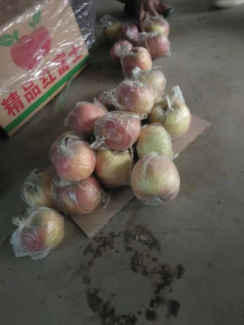 起步80红富士苹果·随时来看货·