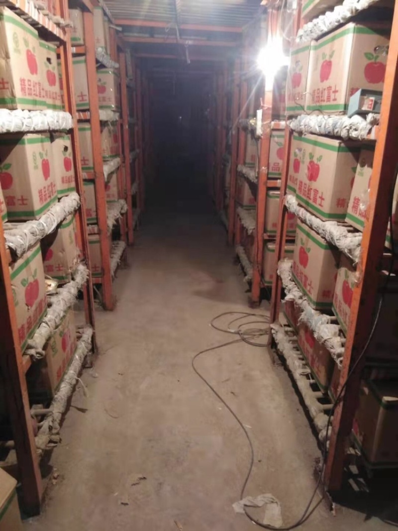 起步80红富士苹果·随时来看货·