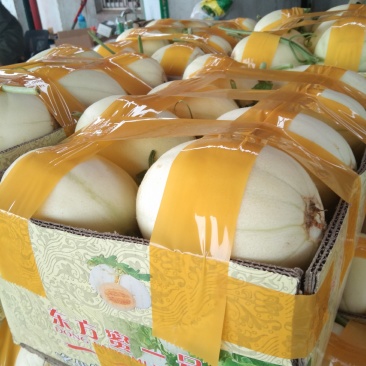 东方密上市口感好欢迎新老客户来