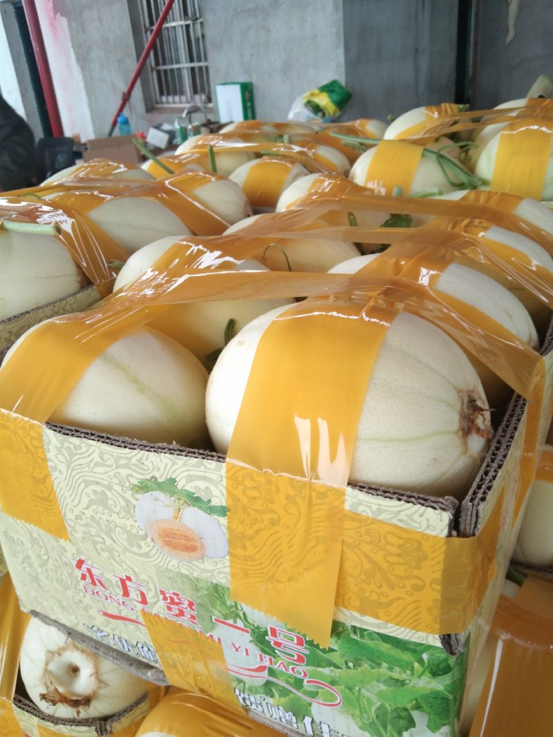 东方密上市口感好欢迎新老客户来