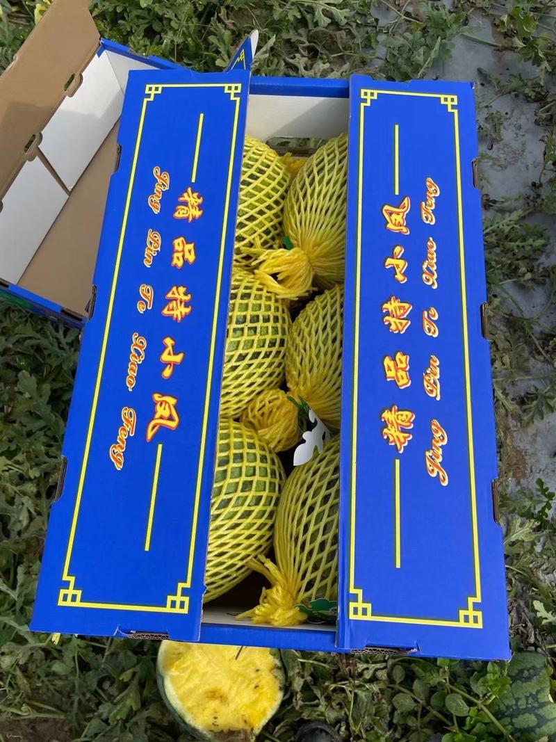 江苏盐城东台特小凤西瓜对接电商超市市场批发包熟包甜