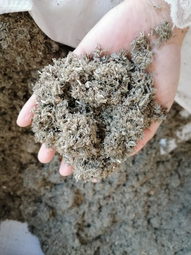 茵陈各种中药材批发质量保证产地直销绵茵陈