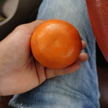 茂谷柑茂谷柑茂谷柑茂谷柑