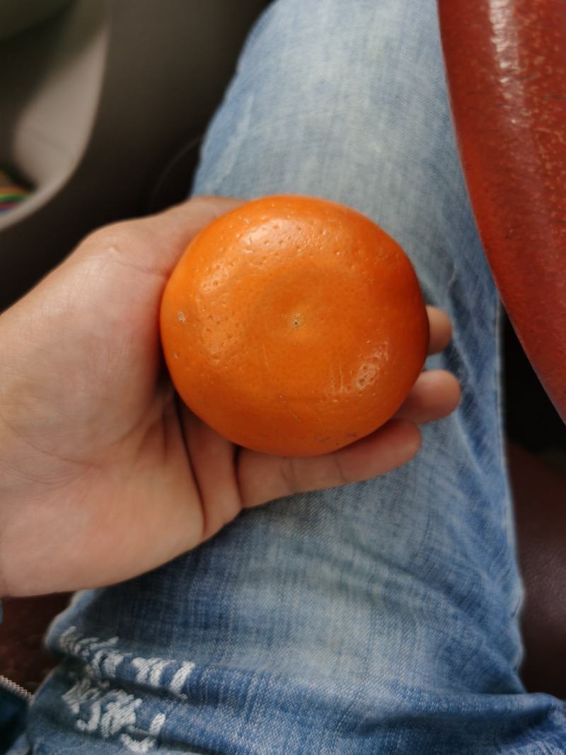 茂谷柑茂谷柑茂谷柑茂谷柑