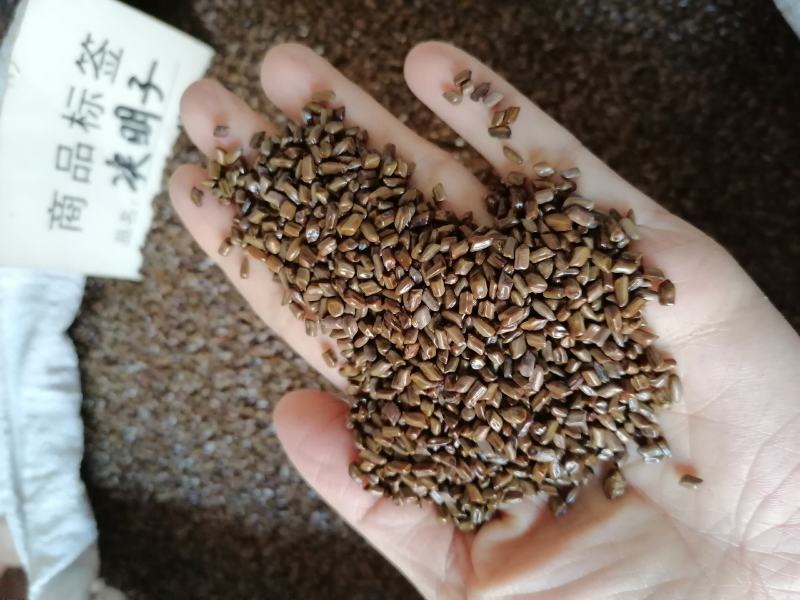 【1公斤起发】决明子药用各种规格中药材批发零售