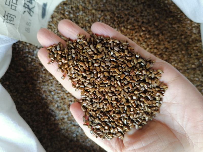 【1公斤起发】决明子药用各种规格中药材批发零售