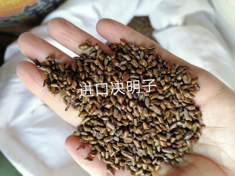 【1公斤起发】决明子药用各种规格中药材批发零售
