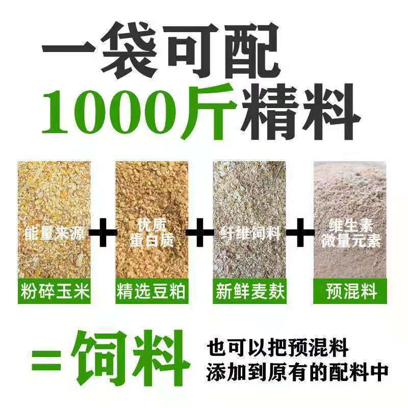 繁殖母牛预混料种牛饲料西门塔尔夏洛莱鲁西黄牛利木赞母牛饲