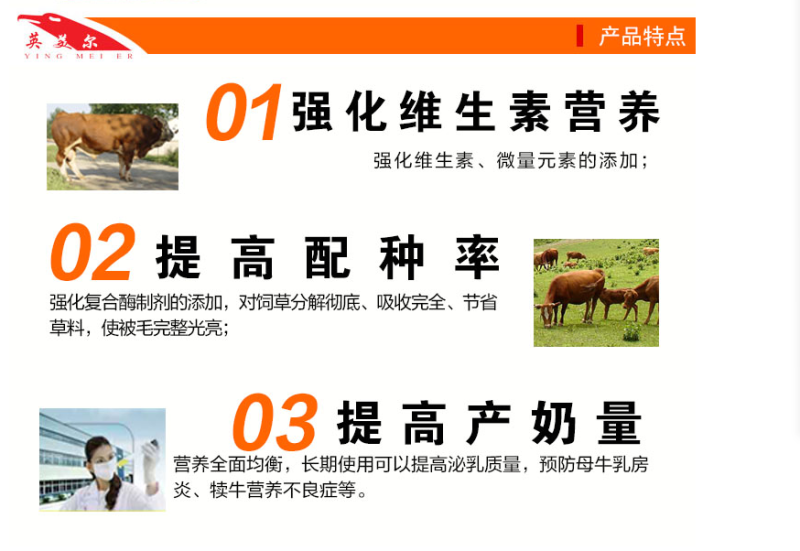 繁殖母牛预混料种牛饲料西门塔尔夏洛莱鲁西黄牛利木赞母牛饲
