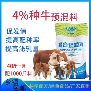 繁殖母牛预混料种牛饲料西门塔尔夏洛莱鲁西黄牛利木赞母牛饲