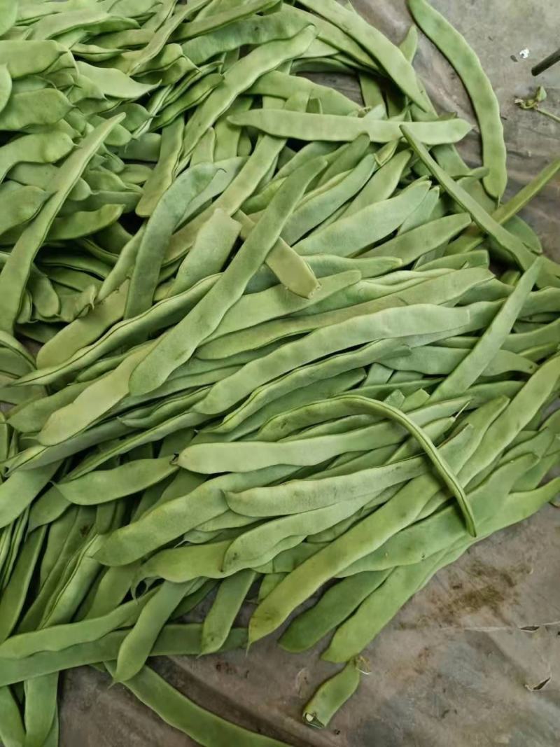 绿扁豆青扁芸豆，大扁豆，能打包装可整车发