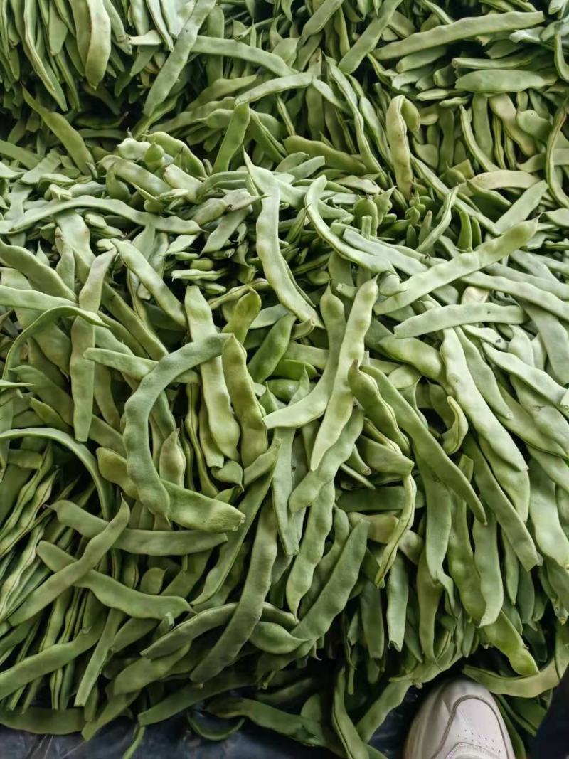 绿扁豆青扁芸豆，大扁豆，能打包装可整车发