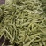 绿扁豆青扁芸豆，大扁豆，能打包装可整车发