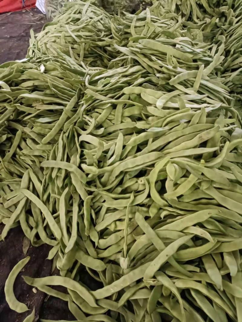 绿扁豆青扁芸豆，大扁豆，能打包装可整车发