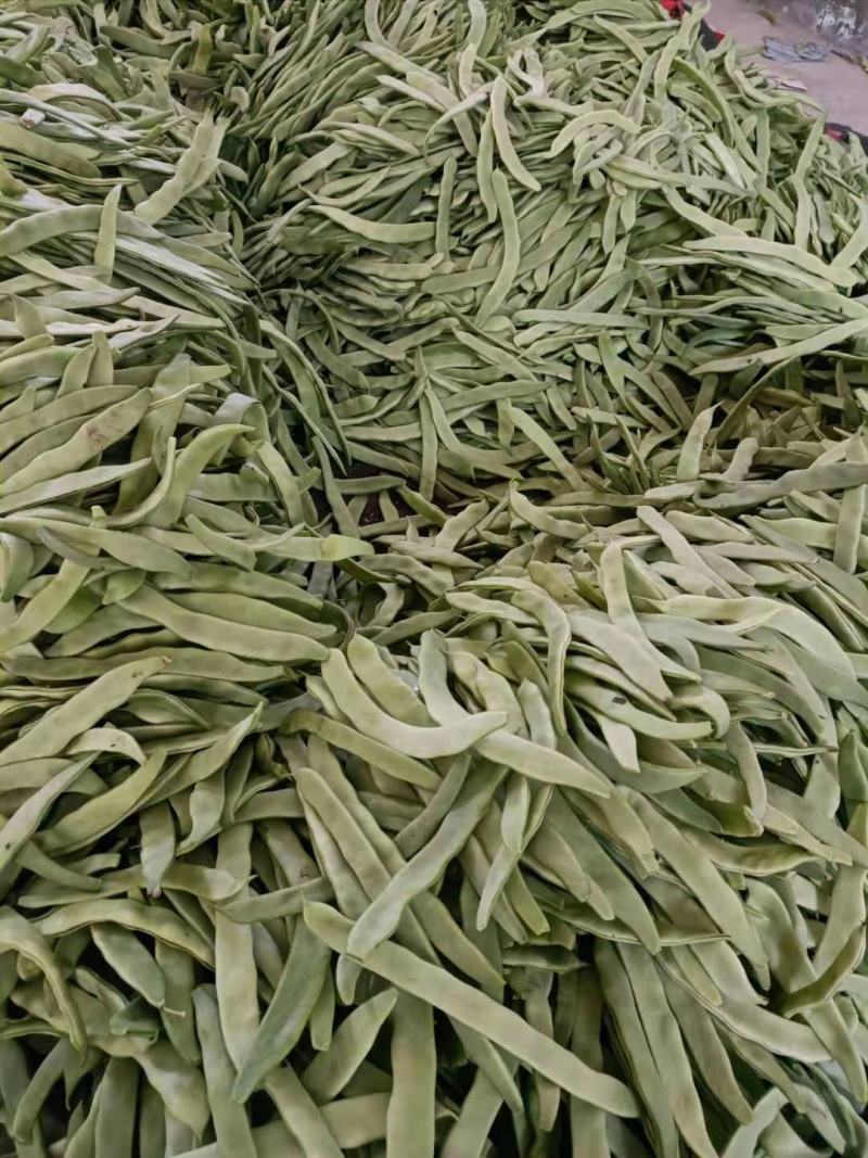 绿扁豆青扁芸豆，大扁豆，能打包装可整车发
