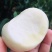 山东蒙阴正宗奶油蟠桃白油蟠桃白玉蟠桃蟠桃水果一件代发