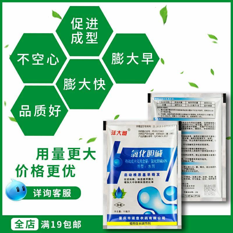 60%氯化胆碱土豆地瓜花生姜山药芋头大蒜药材地下根茎膨大
