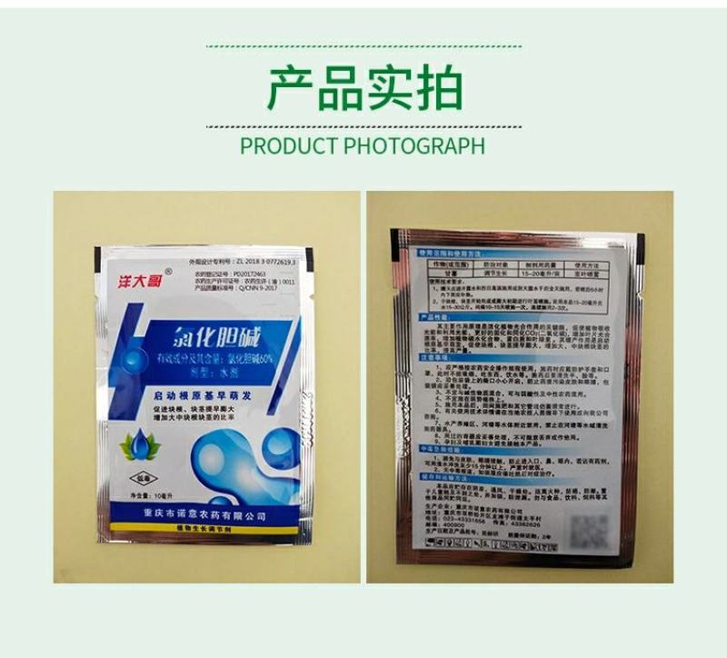 60%氯化胆碱土豆地瓜花生姜山药芋头大蒜药材地下根茎膨大