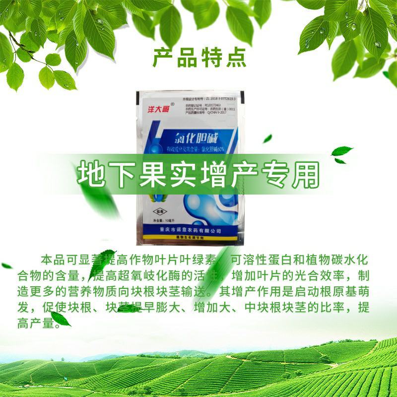 60%氯化胆碱土豆地瓜花生姜山药芋头大蒜药材地下根茎膨大