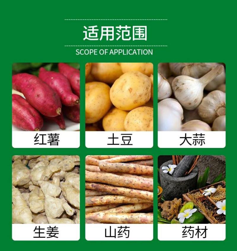 60%氯化胆碱土豆地瓜花生姜山药芋头大蒜药材地下根茎膨大