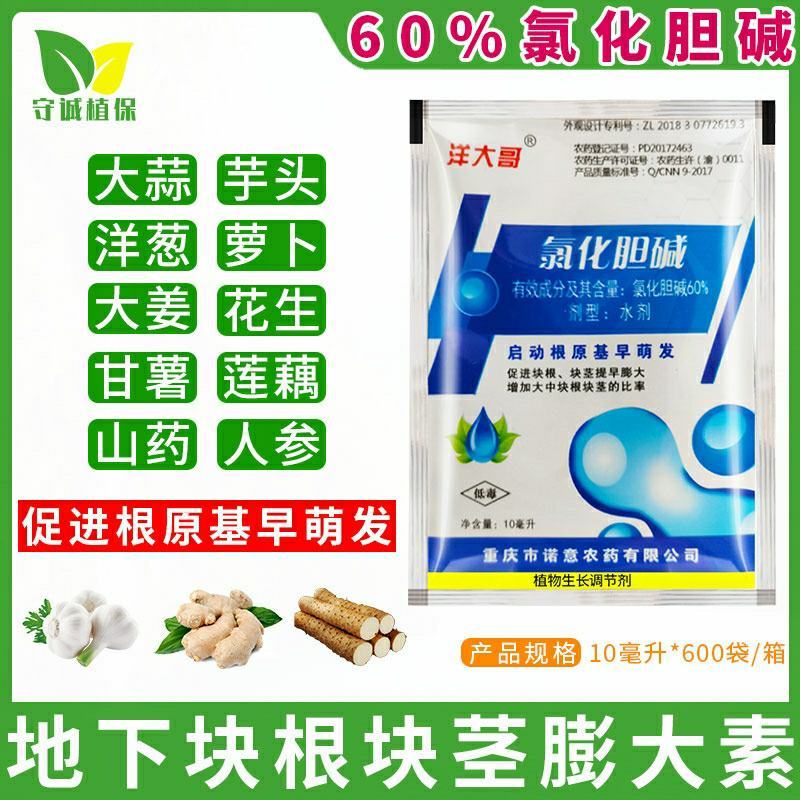 60%氯化胆碱土豆地瓜花生姜山药芋头大蒜药材地下根茎膨大