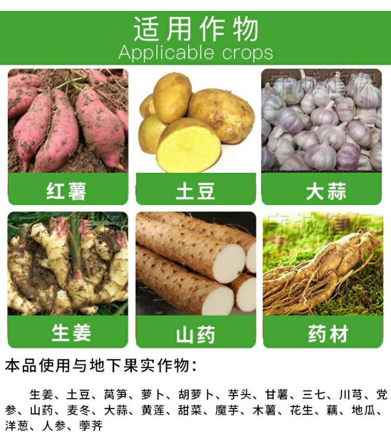 60%氯化胆碱土豆地瓜花生姜山药芋头大蒜药材地下根茎膨大