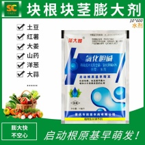 60%氯化胆碱土豆地瓜花生姜山药芋头大蒜药材地下根茎膨大