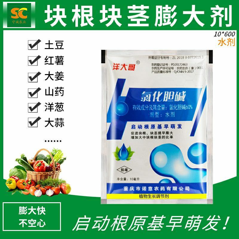 60%氯化胆碱土豆地瓜花生姜山药芋头大蒜药材地下根茎膨大
