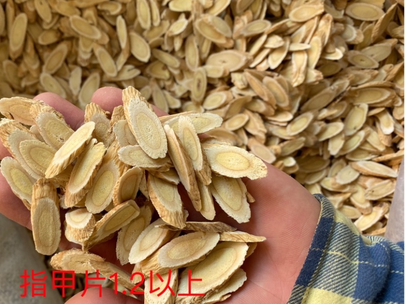 甘肃道地正宗北芪黄芪指甲片***无硫泡水大货批发